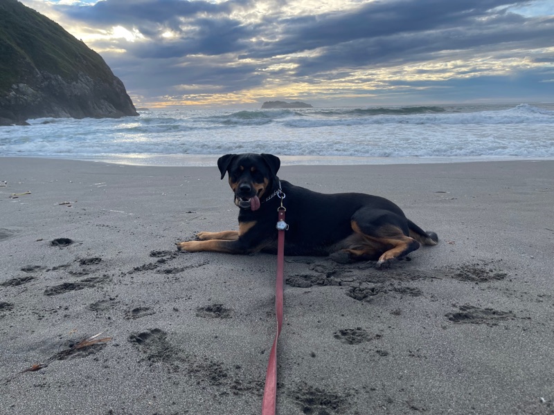Patrol photo from Trinidad & Humboldt Coast on 2022-09-18T00:00:00.000Z